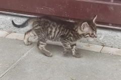 IMG_20230903_091909