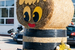194