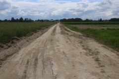 Wola-RAlLLaniecka-10