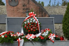 556110787_858328779884475_4436417462911545240_n