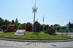 534434029_825394606511226_7338020123459764067_n