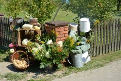 534597346_825397056510981_3356930691006807381_n