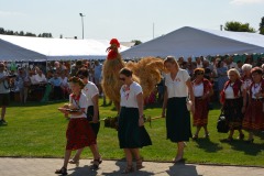 534706169_824441393273214_1700845983355747958_n