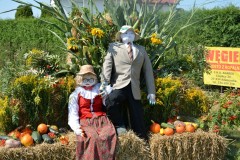 534820873_825397826510904_4732806867990835787_n