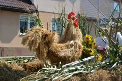 534823813_825398133177540_3262067518556590321_n