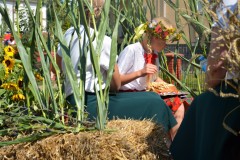 535028539_825398109844209_680835017362232108_n