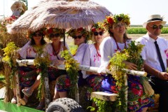 535257190_825395976511089_4751767185517396544_n