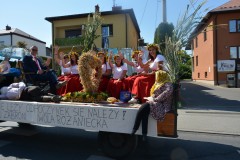 535297215_825398536510833_6707786131757080843_n