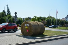 535306214_825394763177877_4445506045776196467_n