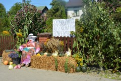 536159368_825397316510955_2213778691613456165_n