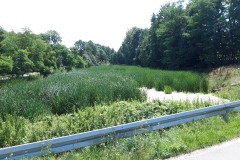 Rozanieckie-2