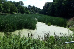 Rozanieckie-3