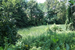 Rozanieckie-4