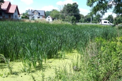 Rozanieckie-6
