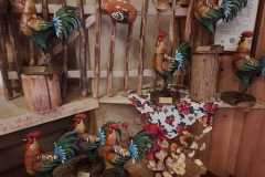 547983901_1213510600814551_525761144484441579_n