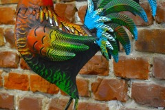 548012686_1213623460803265_8407190737331436313_n