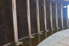 582210555_900195772364442_4356258343301638082_n